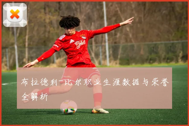 布拉德利-比尔职业生涯数据与荣誉全解析