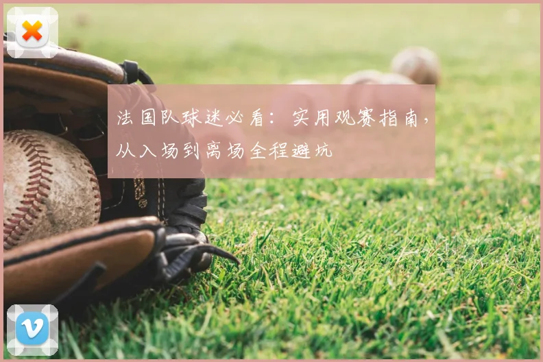 法国队球迷必看：实用观赛指南，从入场到离场全程避坑