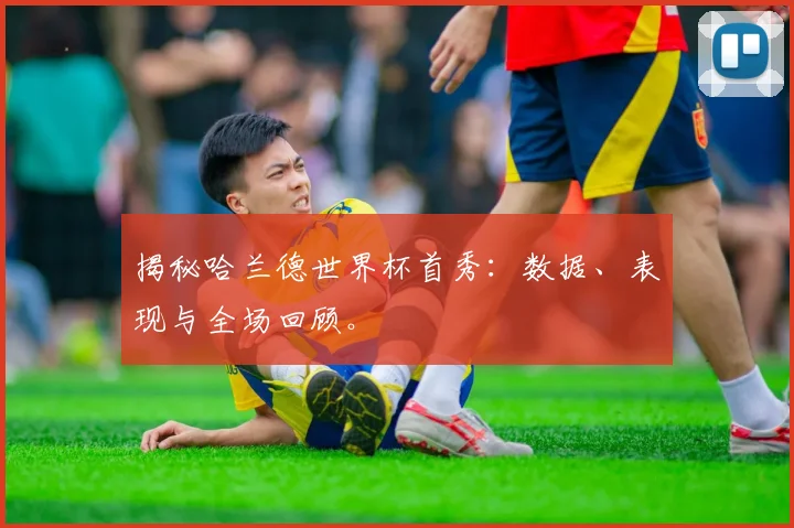 揭秘哈兰德世界杯首秀：数据、表现与全场回顾。